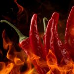 Bestcookhub - A close-up of red chili peppers with fire effects symbolizing heat and flavor