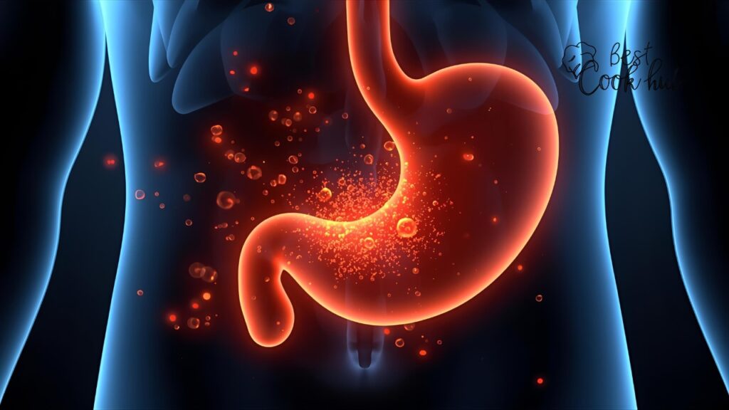 Bestcookhub - Graphic of stomach lining reacting to capsaicin with protective mucus